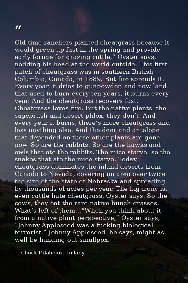 Old-time ranchers planted cheatgrass because it would green up fast in the spring and provide early forage for grazing c — Chuck Palahniuk, Lullaby