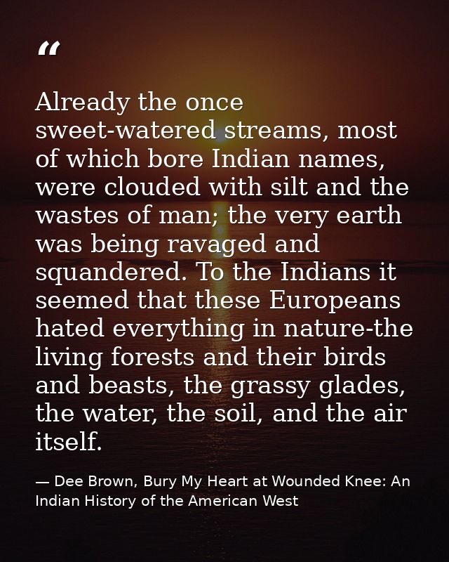 Already the once sweet-watered streams, most of which bore Indian names, were clouded with silt and the wastes of man; t — Dee Brown, Bury My Heart at Wounded Knee: An Indian History of the American West
