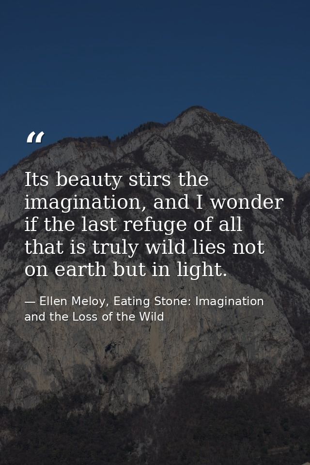 Its beauty stirs the imagination, and I wonder if the last refuge of all that is truly wild lies not on earth but in lig — Ellen Meloy, Eating Stone: Imagination and the Loss of the Wild