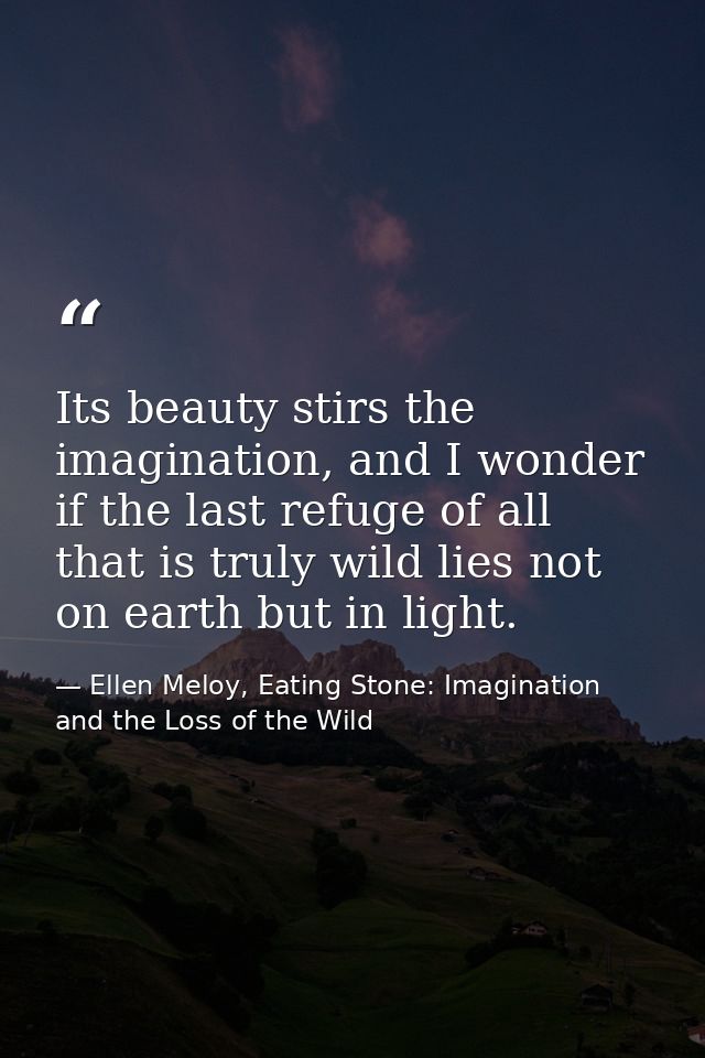 Its beauty stirs the imagination, and I wonder if the last refuge of all that is truly wild lies not on earth but in lig — Ellen Meloy, Eating Stone: Imagination and the Loss of the Wild