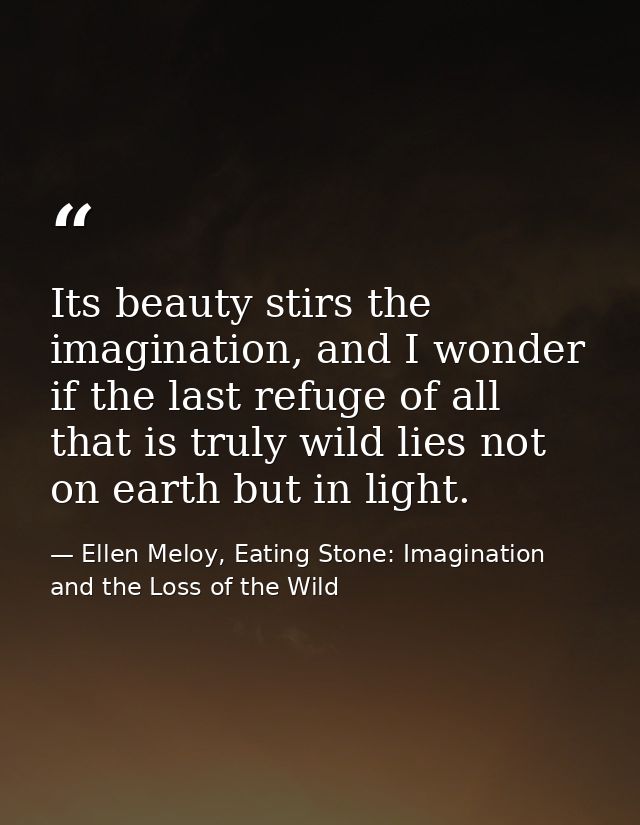 Its beauty stirs the imagination, and I wonder if the last refuge of all that is truly wild lies not on earth but in lig — Ellen Meloy, Eating Stone: Imagination and the Loss of the Wild