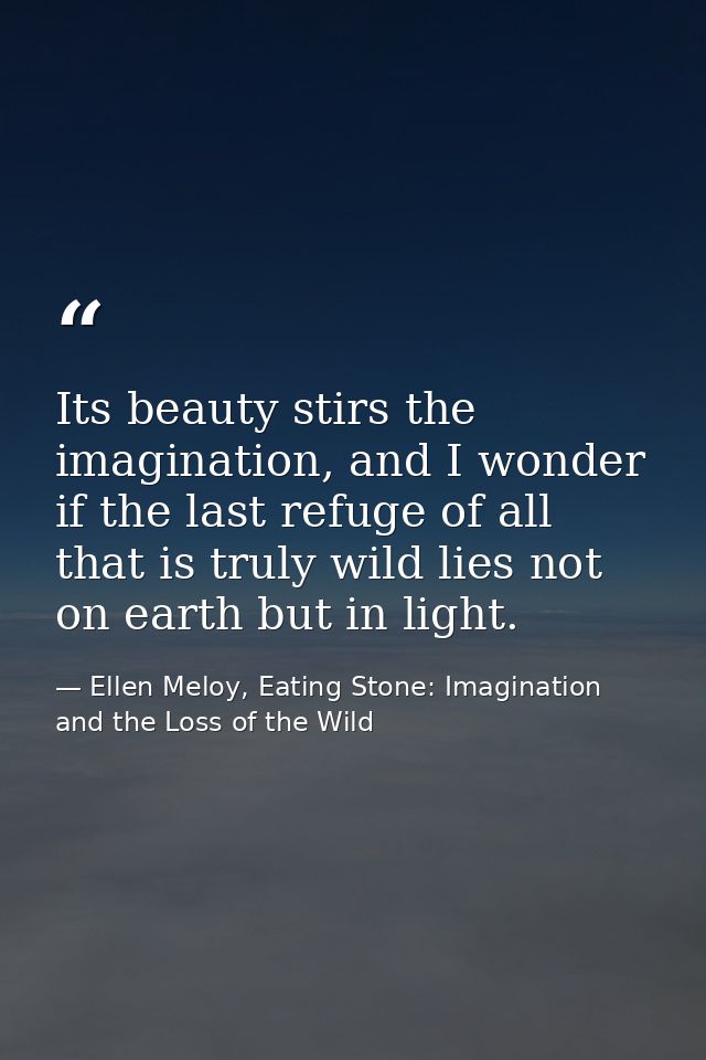 Its beauty stirs the imagination, and I wonder if the last refuge of all that is truly wild lies not on earth but in lig — Ellen Meloy, Eating Stone: Imagination and the Loss of the Wild
