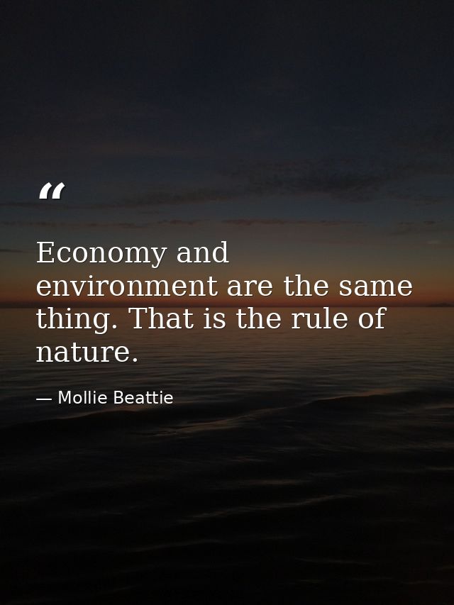 Economy and environment are the same thing. That is the rule of nature. — Mollie Beattie