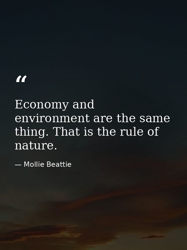 Economy and environment are the same thing. That is the rule of nature. — Mollie Beattie
