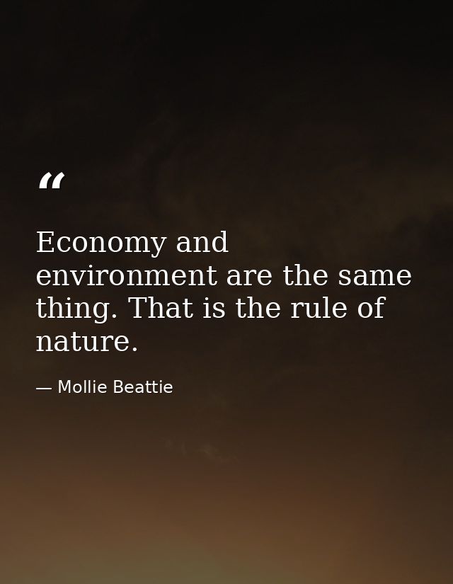 Economy and environment are the same thing. That is the rule of nature. — Mollie Beattie