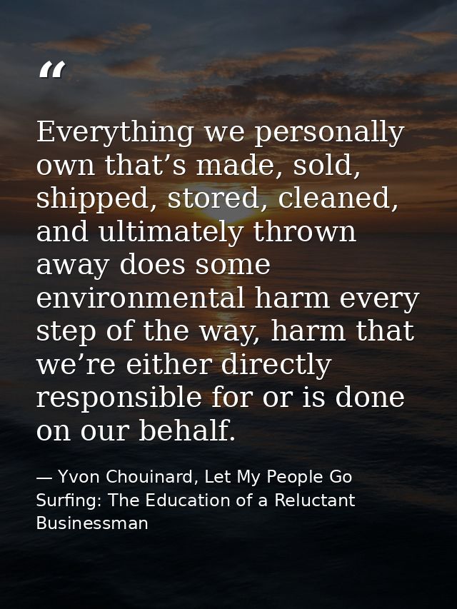 Everything we personally own that’s made, sold, shipped, stored, cleaned, and ultimately thrown away does some environme — Yvon Chouinard, Let My People Go Surfing: The Education of a Reluctant Businessman