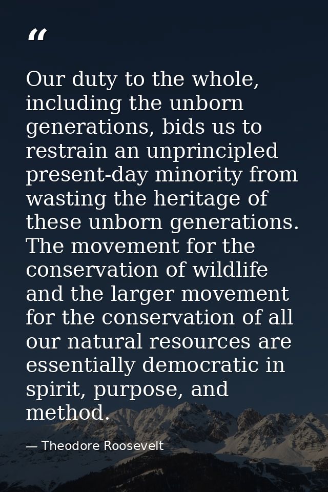 Our duty to the whole, including the unborn generations, bids us to restrain an unprincipled present-day minority from w — Theodore Roosevelt