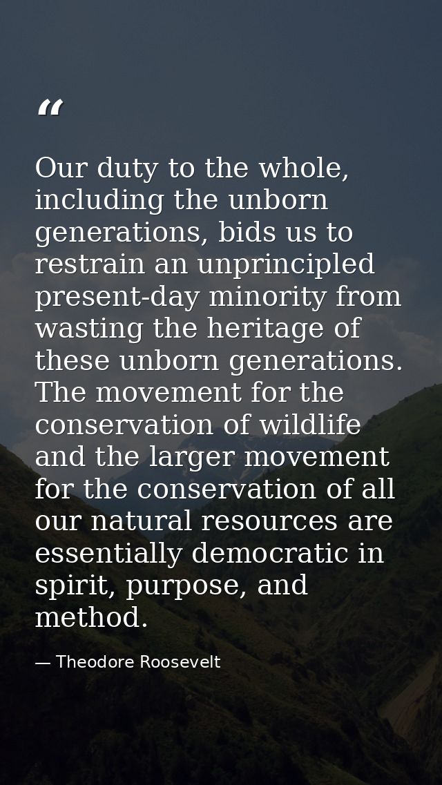 Our duty to the whole, including the unborn generations, bids us to restrain an unprincipled present-day minority from w — Theodore Roosevelt