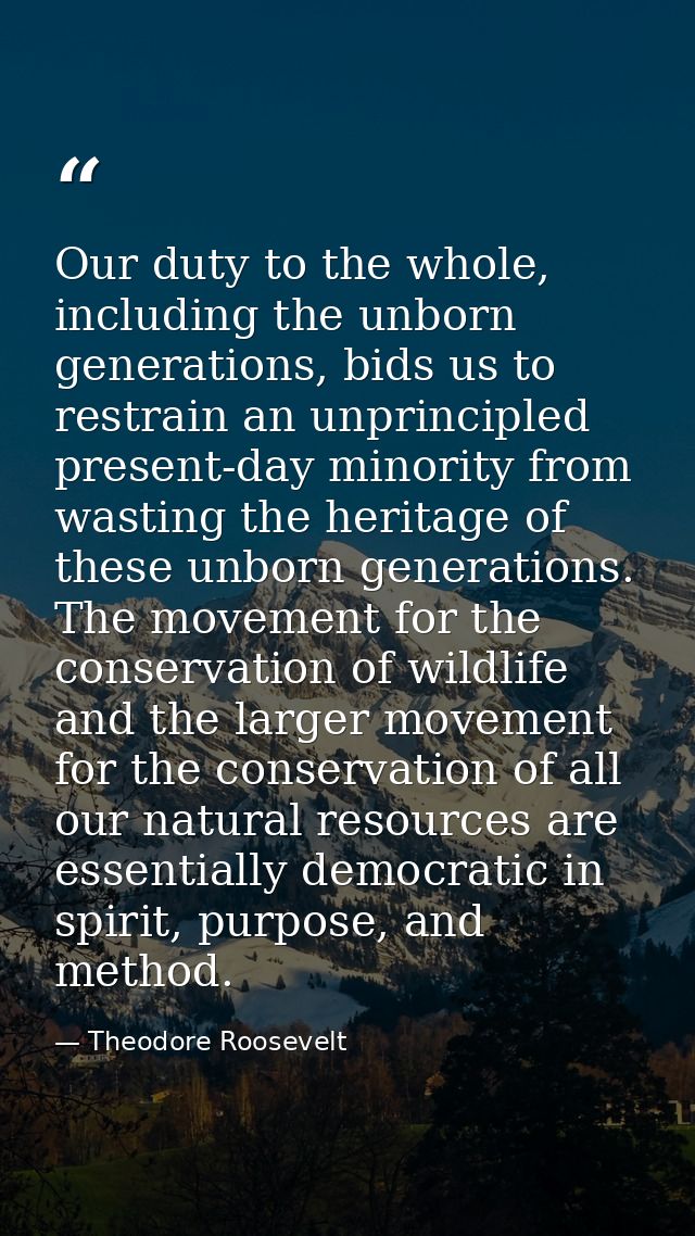 Our duty to the whole, including the unborn generations, bids us to restrain an unprincipled present-day minority from w — Theodore Roosevelt