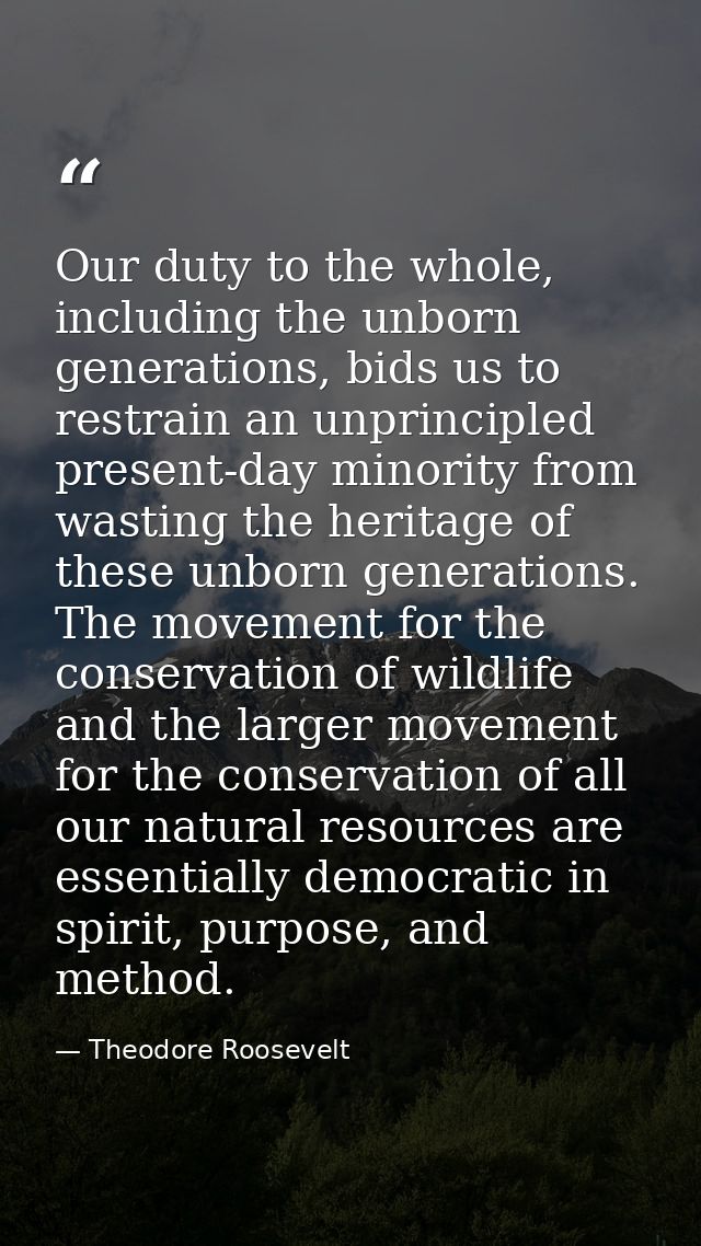 Our duty to the whole, including the unborn generations, bids us to restrain an unprincipled present-day minority from w — Theodore Roosevelt