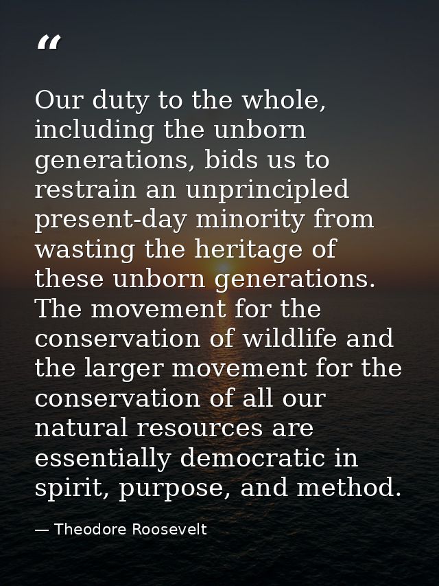 Our duty to the whole, including the unborn generations, bids us to restrain an unprincipled present-day minority from w — Theodore Roosevelt