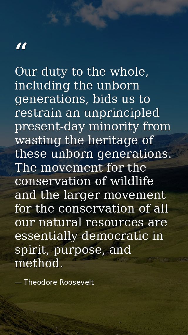 Our duty to the whole, including the unborn generations, bids us to restrain an unprincipled present-day minority from w — Theodore Roosevelt