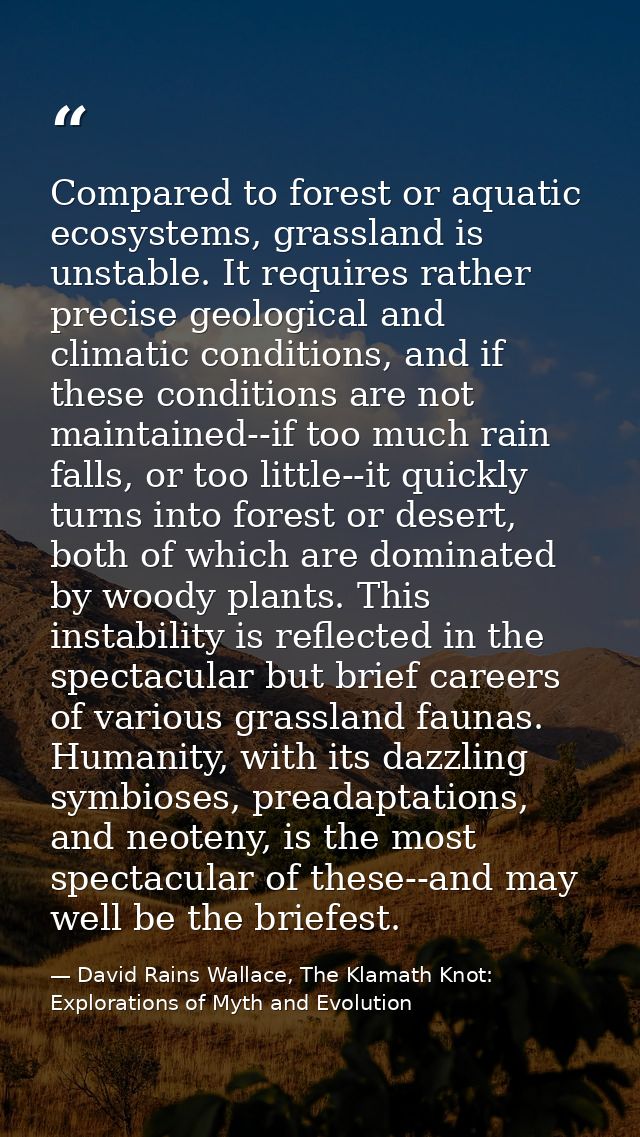 Compared to forest or aquatic ecosystems, grassland is unstable. It requires rather precise geological and climatic cond — David Rains Wallace, The Klamath Knot: Explorations of Myth and Evolution