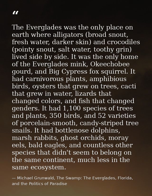 The Everglades was the only place on earth where alligators (broad snout, fresh water, darker skin) and crocodiles (poin — Michael Grunwald, The Swamp: The Everglades, Florida, and the Politics of Paradise