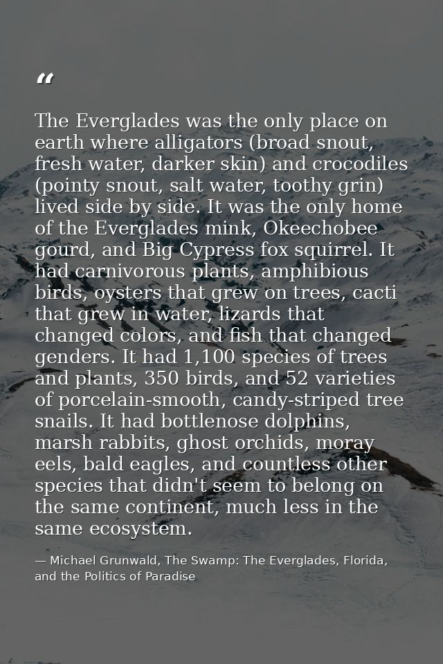The Everglades was the only place on earth where alligators (broad snout, fresh water, darker skin) and crocodiles (poin — Michael Grunwald, The Swamp: The Everglades, Florida, and the Politics of Paradise