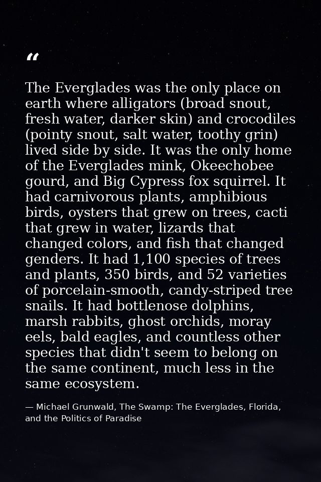 The Everglades was the only place on earth where alligators (broad snout, fresh water, darker skin) and crocodiles (poin — Michael Grunwald, The Swamp: The Everglades, Florida, and the Politics of Paradise