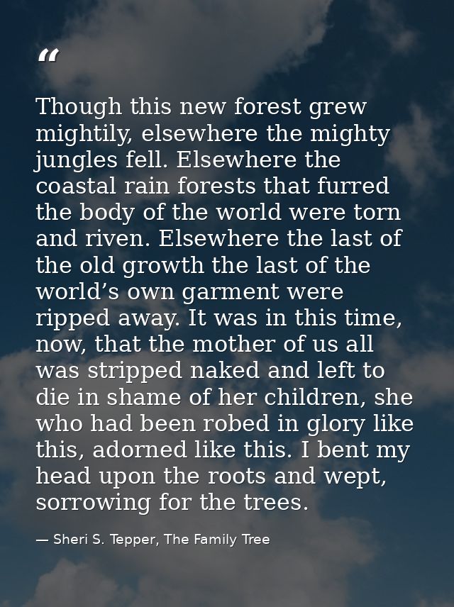 Though this new forest grew mightily, elsewhere the mighty jungles fell. Elsewhere the coastal rain forests that furred  — Sheri S. Tepper, The Family Tree