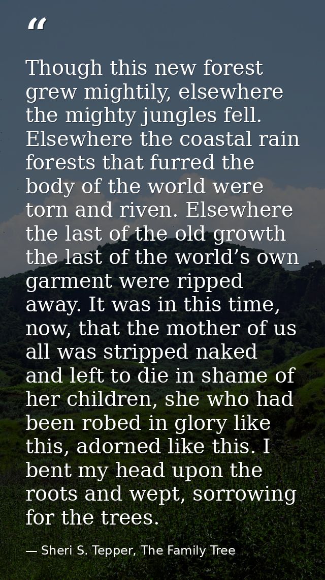 Though this new forest grew mightily, elsewhere the mighty jungles fell. Elsewhere the coastal rain forests that furred  — Sheri S. Tepper, The Family Tree