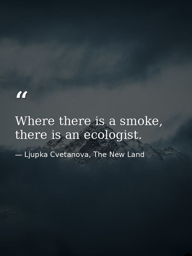 Where there is a smoke, there is an ecologist. — Ljupka Cvetanova, The New Land
