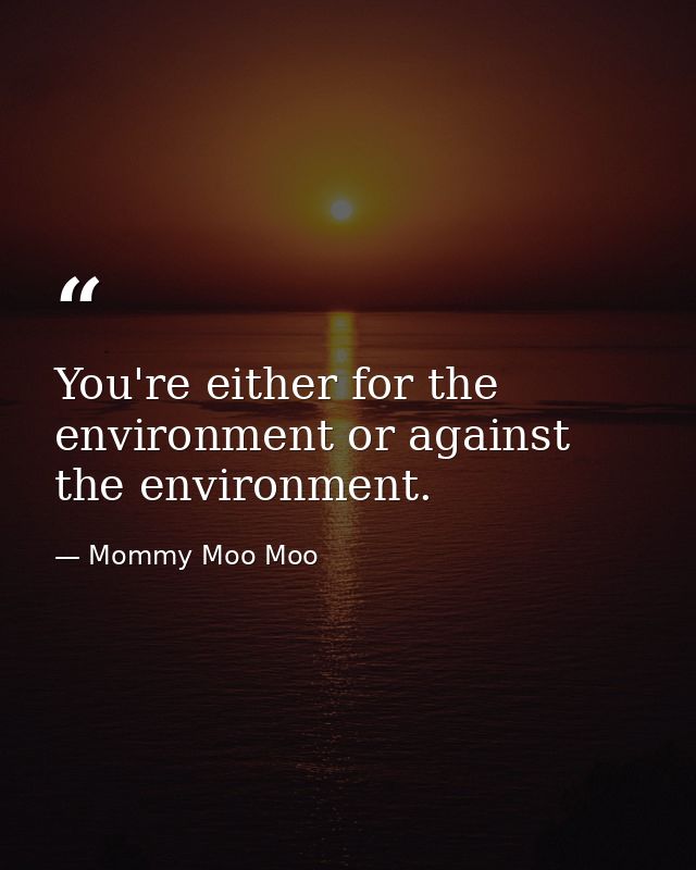 You're either for the environment or against the environment. — Mommy Moo Moo