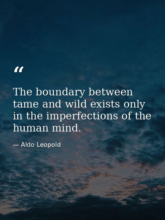 The boundary between tame and wild exists only in the imperfections of the human mind. — Aldo Leopold