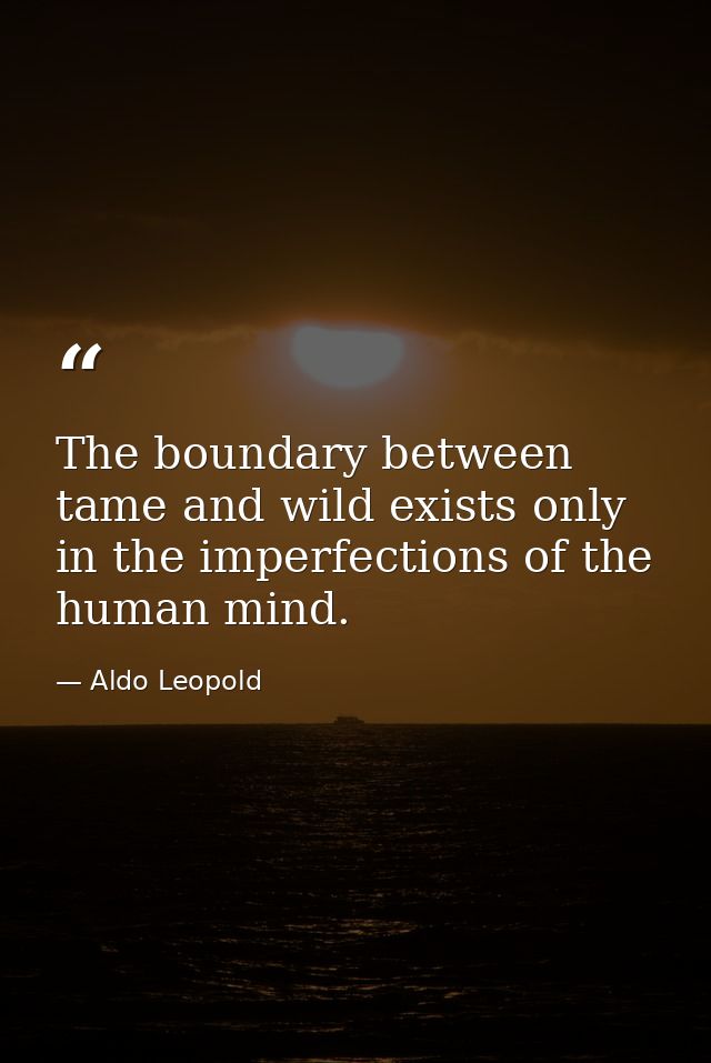 The boundary between tame and wild exists only in the imperfections of the human mind. — Aldo Leopold