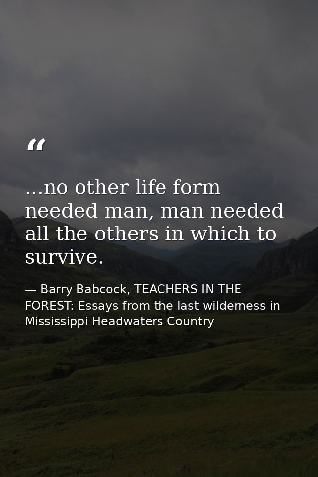 ...no other life form needed man, man needed all the others in which to survive. — Barry Babcock, TEACHERS IN THE FOREST: Essays from the last wilderness in Mississippi Headwaters Country