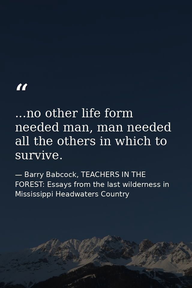 ...no other life form needed man, man needed all the others in which to survive. — Barry Babcock, TEACHERS IN THE FOREST: Essays from the last wilderness in Mississippi Headwaters Country