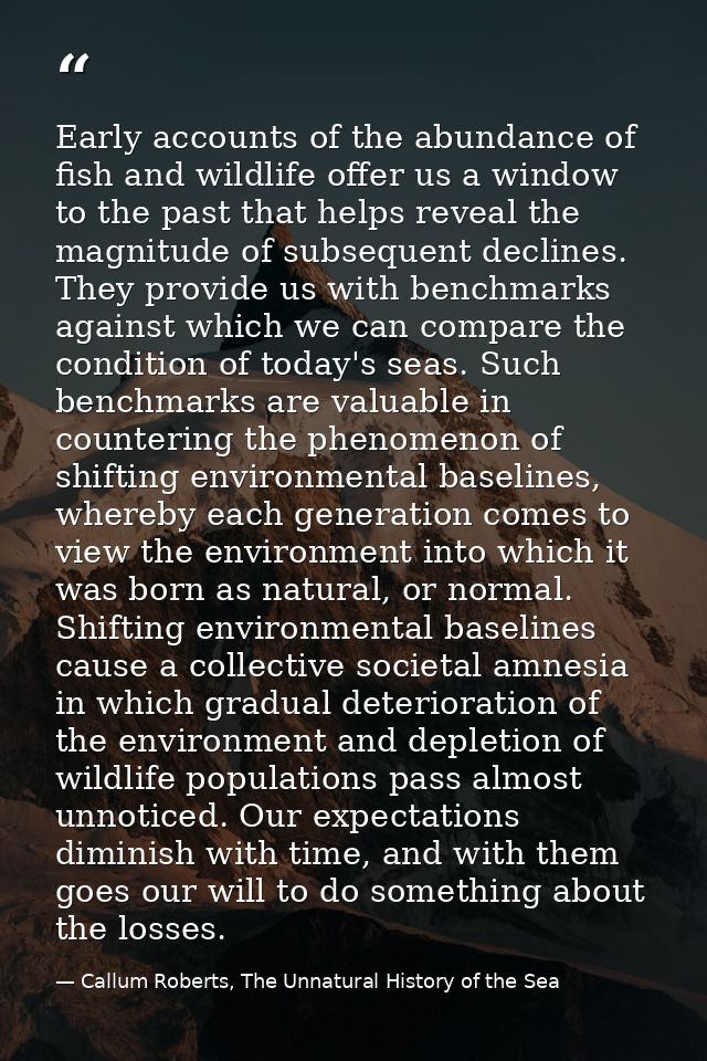 Early accounts of the abundance of fish and wildlife offer us a window to the past that helps reveal the magnitude of su — Callum Roberts, The Unnatural History of the Sea