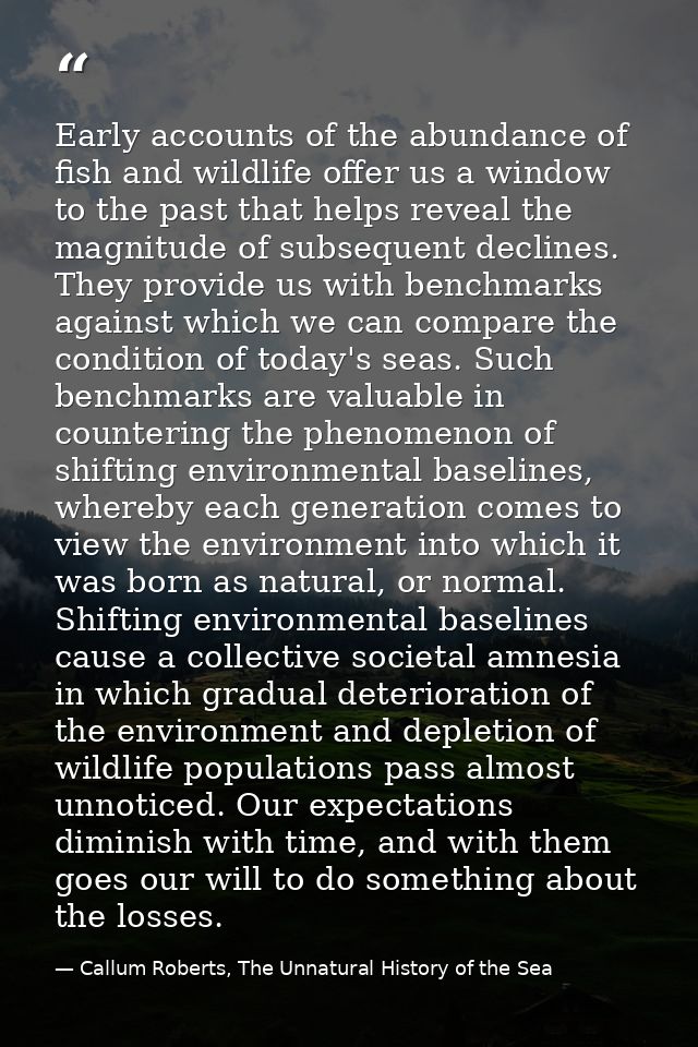 Early accounts of the abundance of fish and wildlife offer us a window to the past that helps reveal the magnitude of su — Callum Roberts, The Unnatural History of the Sea