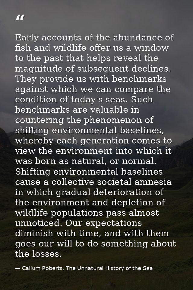 Early accounts of the abundance of fish and wildlife offer us a window to the past that helps reveal the magnitude of su — Callum Roberts, The Unnatural History of the Sea