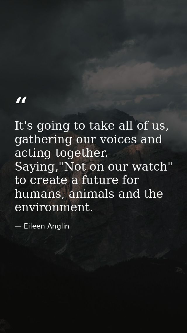 It's going to take all of us, gathering our voices and acting together. Saying,"Not on our watch" to create a future for — Eileen Anglin