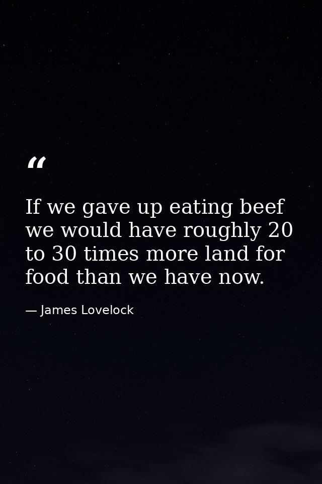 If we gave up eating beef we would have roughly 20 to 30 times more land for food than we have now. — James Lovelock