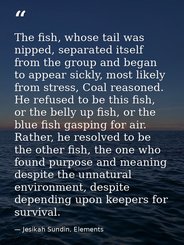 The fish, whose tail was nipped, separated itself from the group and began to appear sickly, most likely from stress, Co — Jesikah Sundin, Elements