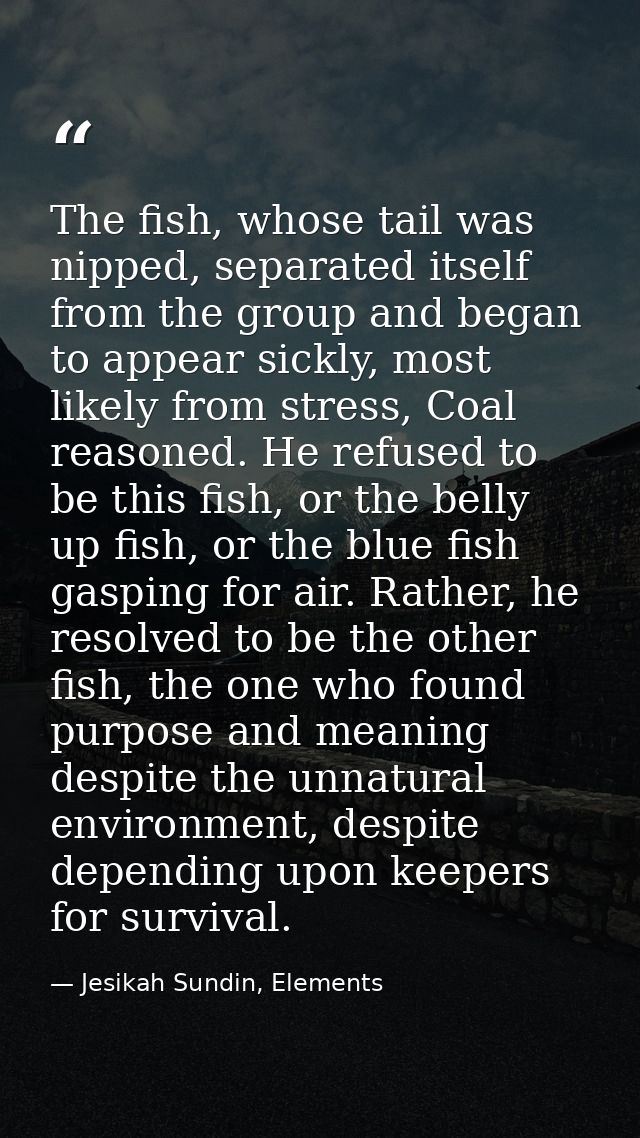 The fish, whose tail was nipped, separated itself from the group and began to appear sickly, most likely from stress, Co — Jesikah Sundin, Elements