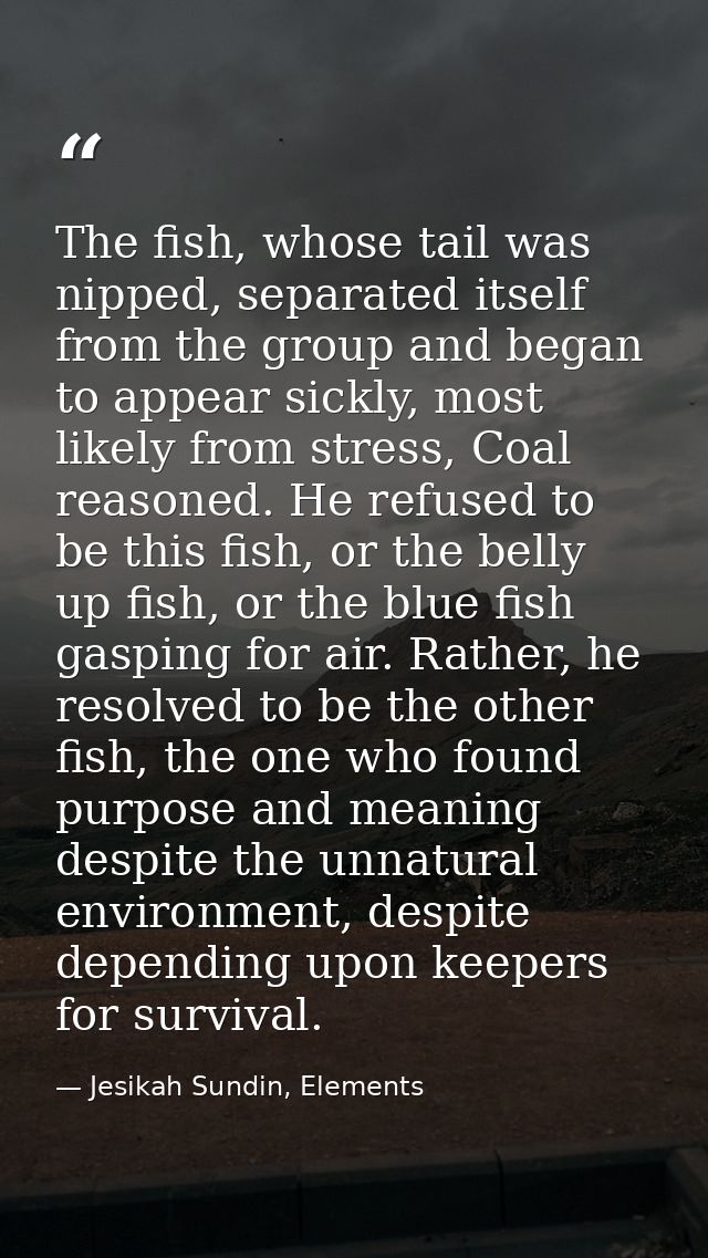 The fish, whose tail was nipped, separated itself from the group and began to appear sickly, most likely from stress, Co — Jesikah Sundin, Elements