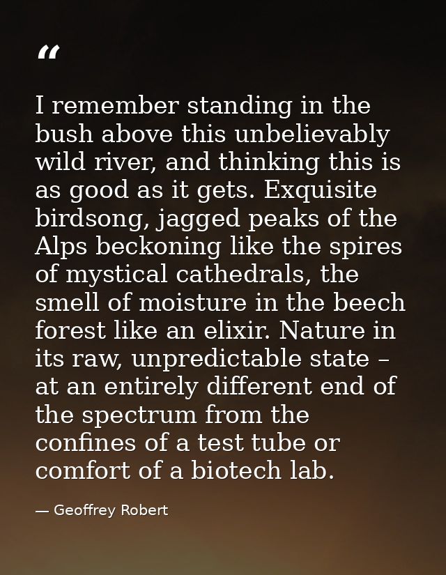I remember standing in the bush above this unbelievably wild river, and thinking this is as good as it gets. Exquisite b — Geoffrey Robert