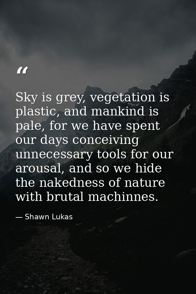 Sky is grey, vegetation is plastic, and mankind is pale, for we have spent our days conceiving unnecessary tools for our — Shawn Lukas