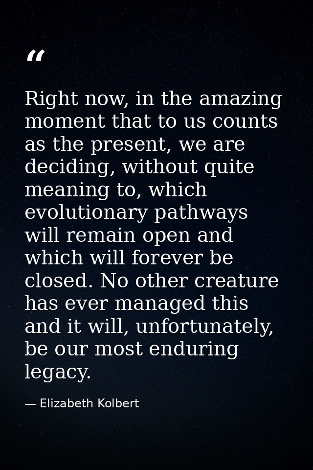 Right now, in the amazing moment that to us counts as the present, we are deciding, without quite meaning to, which evol — Elizabeth Kolbert