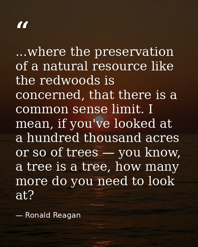 ...where the preservation of a natural resource like the redwoods is concerned, that there is a common sense limit. I me — Ronald Reagan