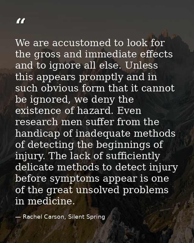 We are accustomed to look for the gross and immediate effects and to ignore all else. Unless this appears promptly and i — Rachel Carson, Silent Spring