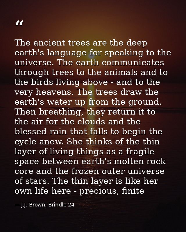 The ancient trees are the deep earth's language for speaking to the universe. The earth communicates through trees to th — J.J. Brown, Brindle 24