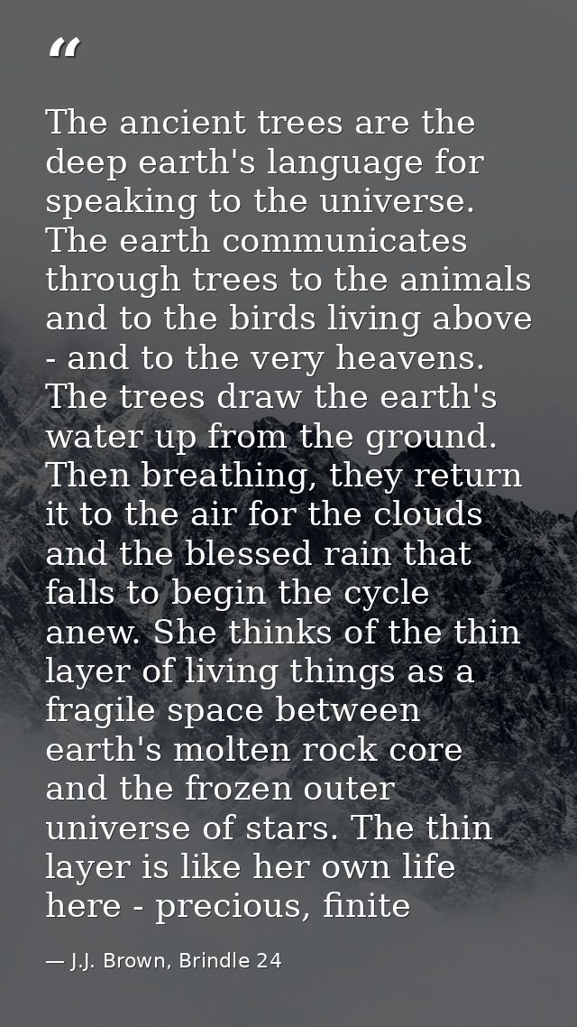 The ancient trees are the deep earth's language for speaking to the universe. The earth communicates through trees to th — J.J. Brown, Brindle 24