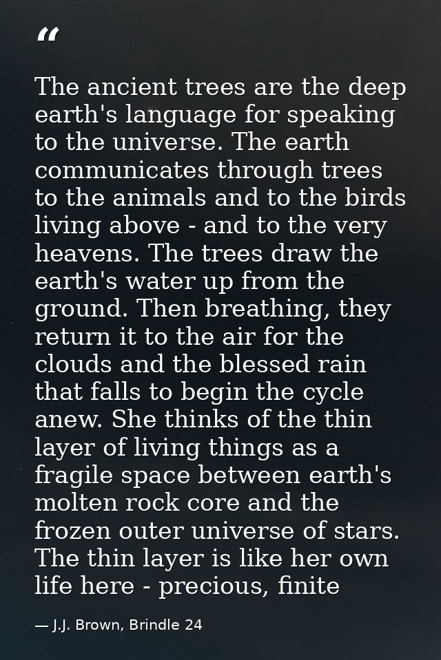The ancient trees are the deep earth's language for speaking to the universe. The earth communicates through trees to th — J.J. Brown, Brindle 24