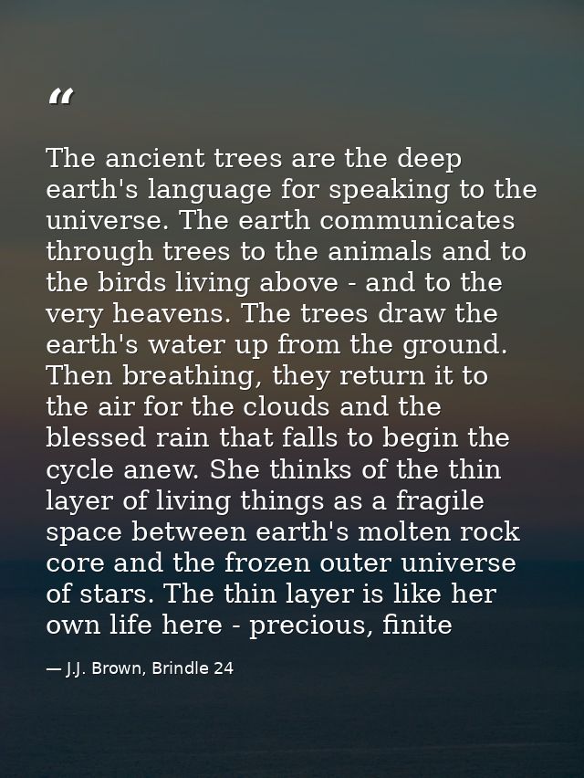 The ancient trees are the deep earth's language for speaking to the universe. The earth communicates through trees to th — J.J. Brown, Brindle 24