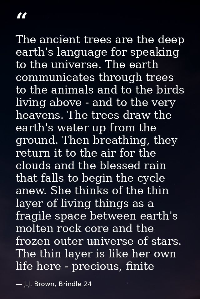 The ancient trees are the deep earth's language for speaking to the universe. The earth communicates through trees to th — J.J. Brown, Brindle 24