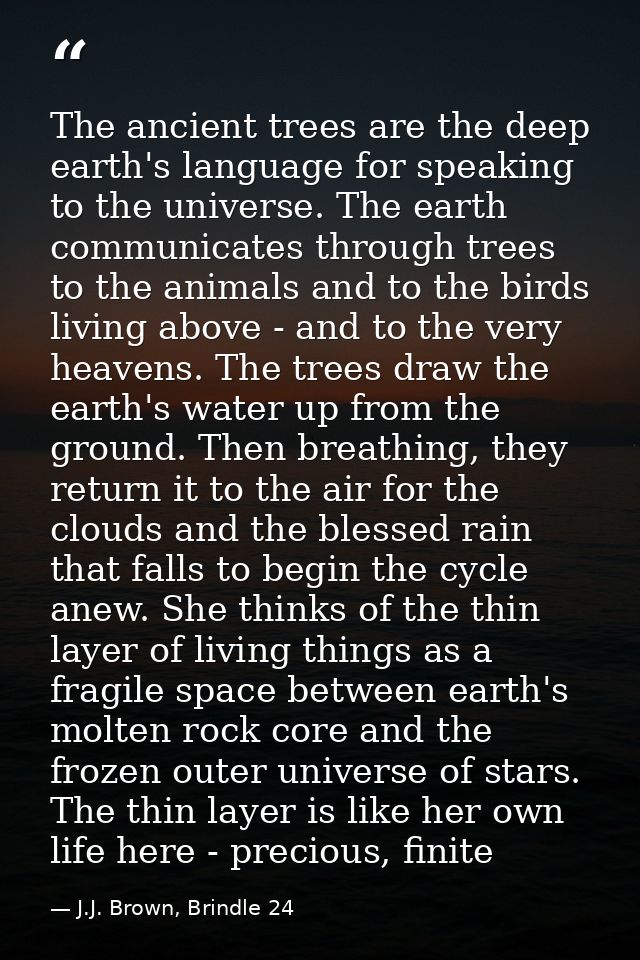 The ancient trees are the deep earth's language for speaking to the universe. The earth communicates through trees to th — J.J. Brown, Brindle 24