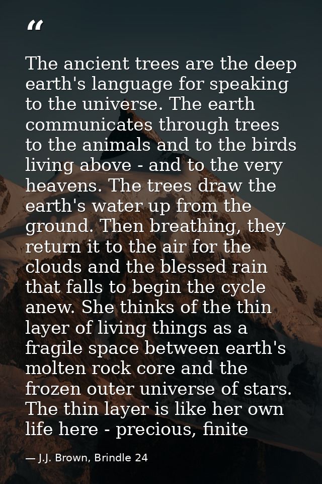 The ancient trees are the deep earth's language for speaking to the universe. The earth communicates through trees to th — J.J. Brown, Brindle 24
