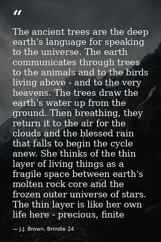 The ancient trees are the deep earth's language for speaking to the universe. The earth communicates through trees to th — J.J. Brown, Brindle 24