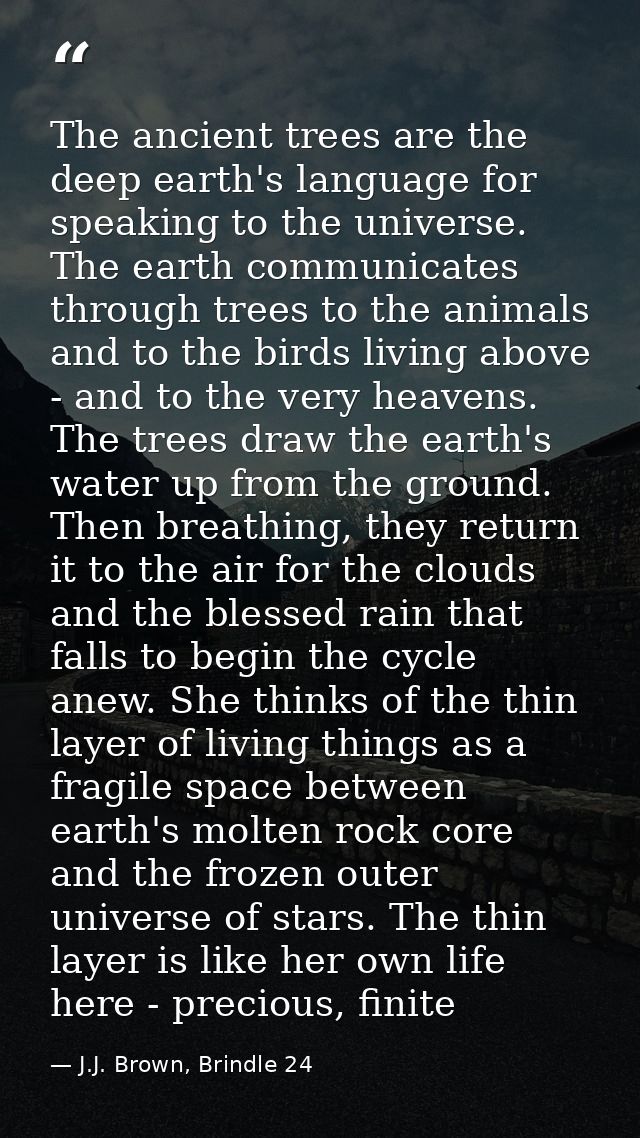 The ancient trees are the deep earth's language for speaking to the universe. The earth communicates through trees to th — J.J. Brown, Brindle 24